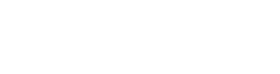 Pizzola
